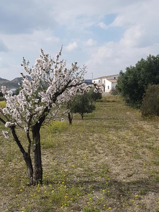 Cortijo Esperanza Bed & Breakfast Huercal-Overa