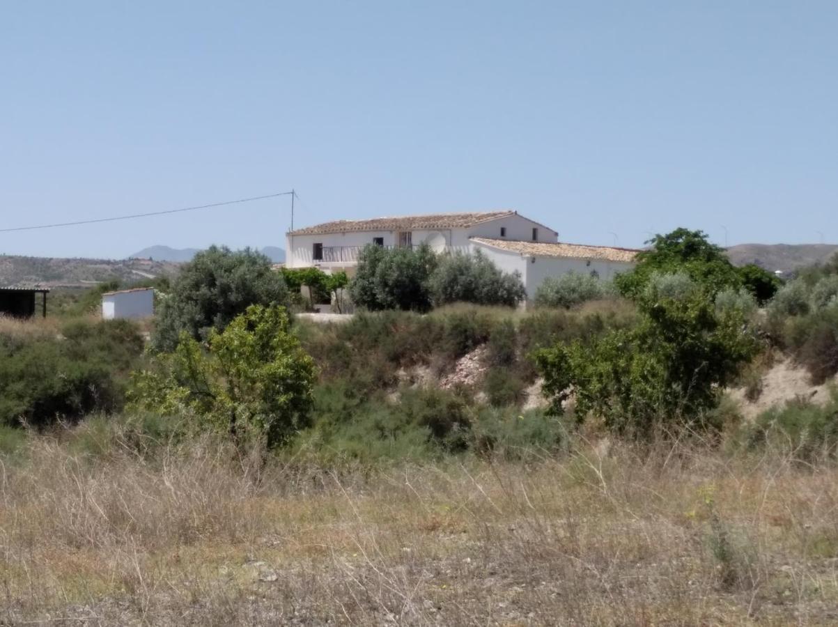 Cortijo Esperanza Bed & Breakfast *