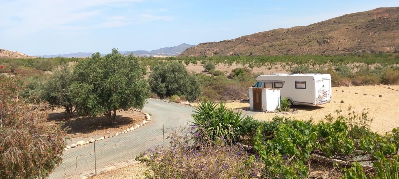 Cortijo Esperanza Bed & Breakfast